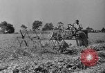 Standbild Konserven und Einfrieren von Lebensmitteln in den 1940er Jahren auf Seabrook Farms New Jersey United States USA, 1946, aus Sekunde 8 historischem Filmmaterial Videoclip 65675070532