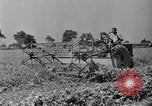 Standbild Konserven und Einfrieren von Lebensmitteln in den 1940er Jahren auf Seabrook Farms New Jersey United States USA, 1946, aus Sekunde 9 historischem Filmmaterial Videoclip 65675070532