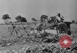 Standbild Konserven und Einfrieren von Lebensmitteln in den 1940er Jahren auf Seabrook Farms New Jersey United States USA, 1946, aus Sekunde 10 historischem Filmmaterial Videoclip 65675070532