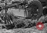 Standbild Konserven und Einfrieren von Lebensmitteln in den 1940er Jahren auf Seabrook Farms New Jersey United States USA, 1946, aus Sekunde 11 historischem Filmmaterial Videoclip 65675070532