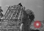 Standbild Konserven und Einfrieren von Lebensmitteln in den 1940er Jahren auf Seabrook Farms New Jersey United States USA, 1946, aus Sekunde 17 historischem Filmmaterial Videoclip 65675070532