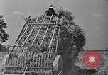 Standbild Konserven und Einfrieren von Lebensmitteln in den 1940er Jahren auf Seabrook Farms New Jersey United States USA, 1946, aus Sekunde 18 historischem Filmmaterial Videoclip 65675070532