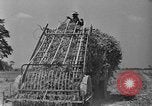 Standbild Konserven und Einfrieren von Lebensmitteln in den 1940er Jahren auf Seabrook Farms New Jersey United States USA, 1946, aus Sekunde 19 historischem Filmmaterial Videoclip 65675070532