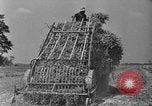 Standbild Konserven und Einfrieren von Lebensmitteln in den 1940er Jahren auf Seabrook Farms New Jersey United States USA, 1946, aus Sekunde 20 historischem Filmmaterial Videoclip 65675070532