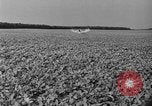 Standbild Konserven und Einfrieren von Lebensmitteln in den 1940er Jahren auf Seabrook Farms New Jersey United States USA, 1946, aus Sekunde 43 historischem Filmmaterial Videoclip 65675070532