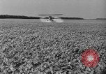 Standbild Konserven und Einfrieren von Lebensmitteln in den 1940er Jahren auf Seabrook Farms New Jersey United States USA, 1946, aus Sekunde 47 historischem Filmmaterial Videoclip 65675070532