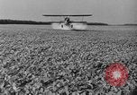 Standbild Konserven und Einfrieren von Lebensmitteln in den 1940er Jahren auf Seabrook Farms New Jersey United States USA, 1946, aus Sekunde 48 historischem Filmmaterial Videoclip 65675070532