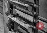 Standbild Konserven und Einfrieren von Lebensmitteln in den 1940er Jahren auf Seabrook Farms New Jersey United States USA, 1946, aus Sekunde 57 historischem Filmmaterial Videoclip 65675070532