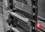 Standbild Konserven und Einfrieren von Lebensmitteln in den 1940er Jahren auf Seabrook Farms New Jersey United States USA, 1946, aus Sekunde 58 historischem Filmmaterial Videoclip 65675070532