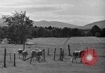 Standbild neue Wege der Landwirtschaft United States USA, 1946, aus Sekunde 11 historischem Filmmaterial Videoclip 65675070533