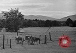 Standbild neue Wege der Landwirtschaft United States USA, 1946, aus Sekunde 12 historischem Filmmaterial Videoclip 65675070533
