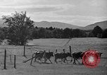 Standbild neue Wege der Landwirtschaft United States USA, 1946, aus Sekunde 15 historischem Filmmaterial Videoclip 65675070533
