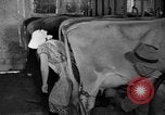 Standbild neue Wege der Landwirtschaft United States USA, 1946, aus Sekunde 16 historischem Filmmaterial Videoclip 65675070533