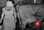 Standbild neue Wege der Landwirtschaft United States USA, 1946, aus Sekunde 18 historischem Filmmaterial Videoclip 65675070533