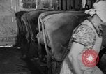 Standbild neue Wege der Landwirtschaft United States USA, 1946, aus Sekunde 20 historischem Filmmaterial Videoclip 65675070533