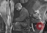 Standbild neue Wege der Landwirtschaft United States USA, 1946, aus Sekunde 22 historischem Filmmaterial Videoclip 65675070533