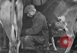 Standbild neue Wege der Landwirtschaft United States USA, 1946, aus Sekunde 23 historischem Filmmaterial Videoclip 65675070533