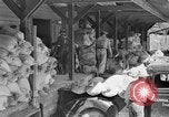 Standbild neue Wege der Landwirtschaft United States USA, 1946, aus Sekunde 53 historischem Filmmaterial Videoclip 65675070533