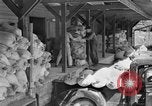 Standbild neue Wege der Landwirtschaft United States USA, 1946, aus Sekunde 56 historischem Filmmaterial Videoclip 65675070533