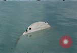 Standbild Sicherheitsmaßnahmen Bermuda Insel, 1947, aus Sekunde 15 historischem Filmmaterial Videoclip 65675070538