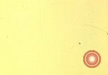 Standbild Antenne Abdeckung Nagasaki Japan, 1946, aus Sekunde 60 historischem Filmmaterial Videoclip 65675070560