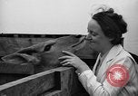 Image animaux de la jungle New York United States USA, 1937, de la seconde 24 séquences d'archives historiques vidéo 65675070576
