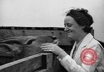 Image animaux de la jungle New York United States USA, 1937, de la seconde 26 séquences d'archives historiques vidéo 65675070576