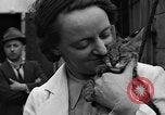 Image animaux de la jungle New York United States USA, 1937, de la seconde 31 séquences d'archives historiques vidéo 65675070576