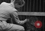 Image animaux de la jungle New York United States USA, 1937, de la seconde 33 séquences d'archives historiques vidéo 65675070576