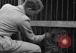 Image animaux de la jungle New York United States USA, 1937, de la seconde 34 séquences d'archives historiques vidéo 65675070576