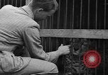 Image animaux de la jungle New York United States USA, 1937, de la seconde 36 séquences d'archives historiques vidéo 65675070576