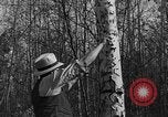 Image tent caterpillar Ontario Canada, 1937, de la seconde 11 séquences d'archives historiques vidéo 65675070579