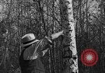 Image tent caterpillar Ontario Canada, 1937, de la seconde 12 séquences d'archives historiques vidéo 65675070579