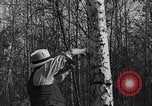 Image tent caterpillar Ontario Canada, 1937, de la seconde 13 séquences d'archives historiques vidéo 65675070579
