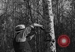 Image tent caterpillar Ontario Canada, 1937, de la seconde 14 séquences d'archives historiques vidéo 65675070579