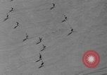 Immagine di Sport invernali Mount Lassen California USA, 1937, secondo 33 filmato di repertorio 65675070583