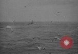 Image de sous-marins américains AL9 les manoeuvres en mer 'Océan Atlantique, 1917, de la seconde 3 séquences d'archives historiques vidéo 65675070586