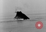 Immagine di Nave canadese Saint Stephen Mare Adriatico, 1918, secondo 53 filmato di repertorio 65675070595