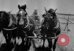 Image of wheat harvested by mule drawn combines United States USA, 1936, second 14 stock footage video 65675070601
