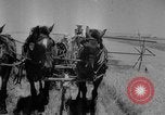 Image of wheat harvested by mule drawn combines United States USA, 1936, second 16 stock footage video 65675070601