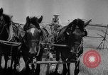 Image of wheat harvested by mule drawn combines United States USA, 1936, second 18 stock footage video 65675070601