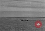 Image of wheat harvested by mule drawn combines United States USA, 1936, second 22 stock footage video 65675070601