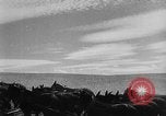 Image of wheat harvested by mule drawn combines United States USA, 1936, second 27 stock footage video 65675070601