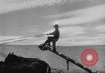 Image of wheat harvested by mule drawn combines United States USA, 1936, second 32 stock footage video 65675070601