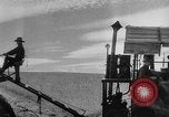 Image of wheat harvested by mule drawn combines United States USA, 1936, second 34 stock footage video 65675070601