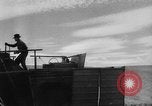 Image of wheat harvested by mule drawn combines United States USA, 1936, second 39 stock footage video 65675070601