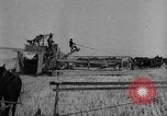 Image of wheat harvested by mule drawn combines United States USA, 1936, second 42 stock footage video 65675070601