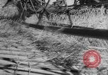 Image of wheat harvested by mule drawn combines United States USA, 1936, second 49 stock footage video 65675070601