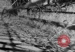 Image of wheat harvested by mule drawn combines United States USA, 1936, second 50 stock footage video 65675070601