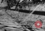 Image of wheat harvested by mule drawn combines United States USA, 1936, second 51 stock footage video 65675070601